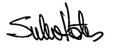 SULEV KOKS signature